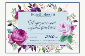 ���������� ���������� �� 5000�